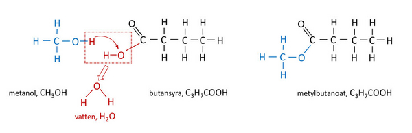 Ke 599 metylbutanoat